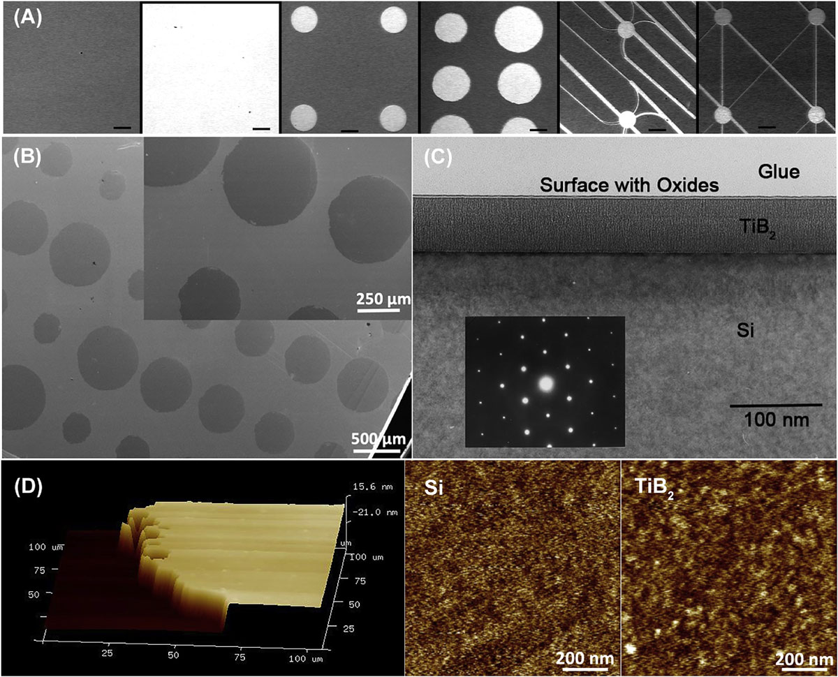 Visualization of micropatterned substrates using a variety of imaging methods for surface characterization.